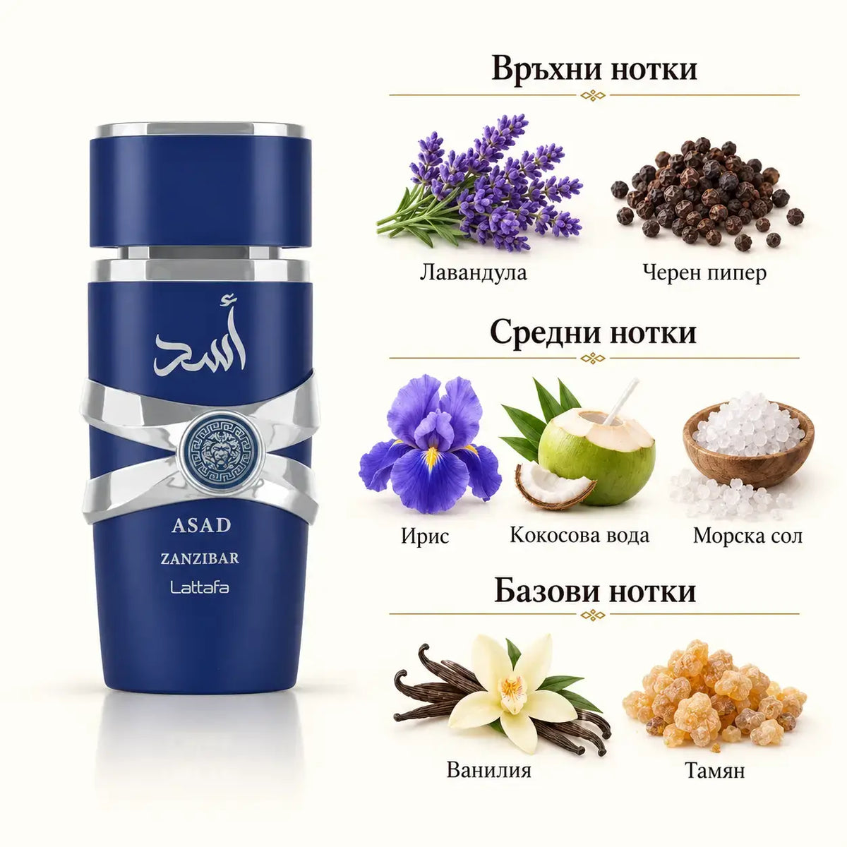 ASAD ZANZIBAR Lattafa – мъжки арабски парфюм EDP, 100 мл - снимка 2