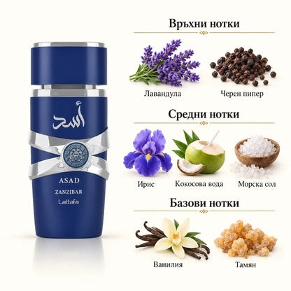 ASAD ZANZIBAR Lattafa – мъжки арабски парфюм EDP, 100 мл - снимка 2